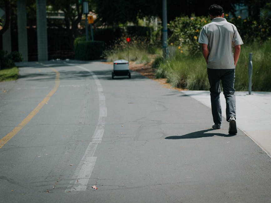 A man wearing a light-colored short-sleeved shirt and dark pants is walking along a paved sidewalk next to a floral garden with yellow and green plants. The scene is outdoors with natural daylight, ca