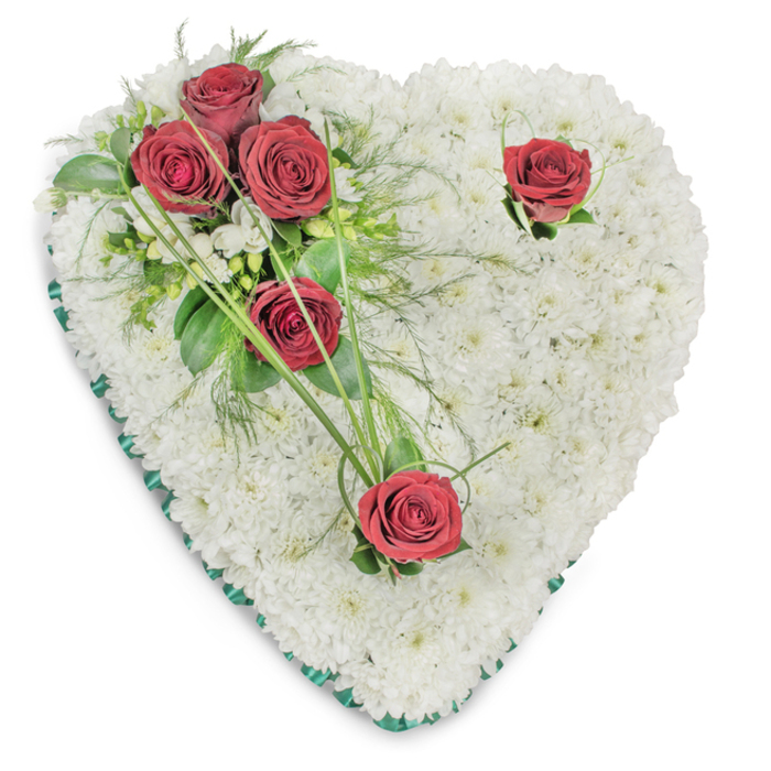 Rendered against a pristine white background, this heart-shaped memorial piece is densely covered in small, immaculate white chrysanthemums, each bloom placed to create a gently contoured, cushion-like surface that reads as calm and pure. A dramatic cluster of three rich crimson roses sits on the upper left, their petals unfurled to reveal velvety depth, while two single red roses are thoughtfully positioned - one at the upper right curve and one at the bottom point - guiding the gaze around the heart's perimeter. The grouping is softened by an assortment of green foliage: broad, glossy leaves, slender fern fronds, and long blades of bear grass that sweep outward to add rhythm and an organic, almost calligraphic line. Tiny white spray flowers peek through in places, offering a whisper of contrast against the dominant white mattress of chrysanthemums. A narrow, emerald-green satin ribbon neatly edges the heart, its cool sheen providing a solemn, finished frame that emphasizes the silhouette under gentle studio lighting. The arrangement evokes a quiet, abiding love and formal respect - a traditional choice for funeral services, memorial readings, or a tribute at a graveside. Locally made for families across Woodside and neighbouring South Norwood and Thornton Heath, this piece is the kind of thoughtful memorial the team at Florist Woodside often prepares with care, selected for its simple dignity, tactile softness, and the steady reassurance it offers during times of loss.