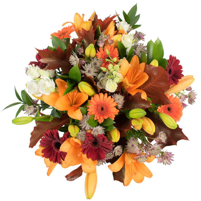A richly layered, slightly elevated study of a fall bouquet that reads like the warm tones of a Woodside afternoon-an arrangement rooted in classic seasonal floristry. Several fully opened orange Asiatic lilies command attention at the center, their wide, trumpet-shaped petals glossy and finely veined, while numerous compact lily buds in shades of pale orange and fresh green tuck into the composition, adding expectancy and dimension. Scattered among them, bright orange Gerbera daisies and deep burgundy Gerbera daisies create alternating notes of cheer and depth, each with a pronounced dark eye that anchors the colour. Soft, ivory lisianthus or miniature roses bring a gentle, layered texture; their ruffled petals temper the intensity of the oranges and reds. Airy sprigs of purple-lavender Astrantia introduce a delicate, starry texture that contrasts pleasingly with the broader blooms. Generous, lobed leaves in rich reddish-brown-reminiscent of oak or mature maple-are integrated as autumnal punctuation, their sculpted edges and warm tones emphasizing the harvest mood. Shiny green foliage and slender stems thread through the bouquet, supplying freshness and structural rhythm. Set against a clean white background and illuminated by clear, bright lighting, the colours and textures are read with crisp clarity, from the satiny lily throats to the papery oak leaves. This dense, professionally arranged bouquet speaks of abundance, gratitude, and seasonal comfort-perfect for Thanksgiving centrepieces, autumnal home décor, or as a thoughtful gift ready for same-day delivery across Woodside and the surrounding Croydon neighbourhoods, crafted with care by local hands.