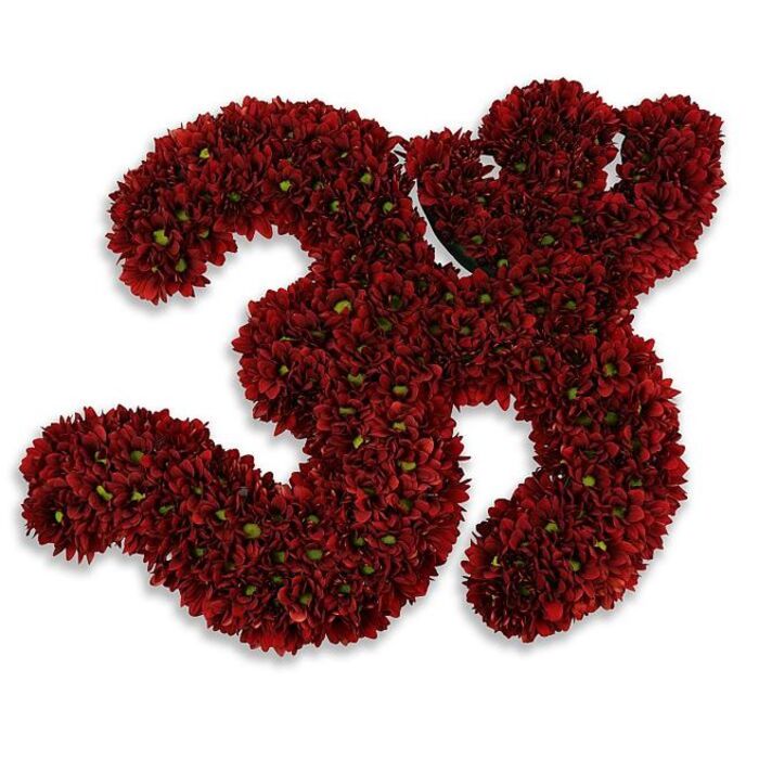 An arresting, sculptural number '33' fashioned entirely from a dense mattress of small crimson chrysanthemums, the kind of button mums florists reach for when they want colour that reads both resilient and refined. Each digit is built from hundreds of individual blooms, their petals folding into themselves to form a plush, velvety surface that lends the numerals a tactile, almost fabric-like presence. Scattered intermittently through the mass are tiny green centres and slivers of leaf that pick out the texture and prevent the deep burgundy from flattening, creating a living mosaic that breathes with subtle variation. The display rests on a spotless white backdrop; a soft, diffused grey shadow anchors it and gives the appearance of slight elevation, like a ceremonial emblem floating just above a table-top. The visual language here is versatile: it reads as celebration for a thirty-third birthday, a meaningful thirty-three year anniversary, a sporting jersey tribute, or as an elegant memorial marker depending on the setting. The craftsmanship suggests close attention to longevity and freshness - stems wired and arranged to hold their shape while keeping petals unbruised - suitable for delivery to family homes, community halls or to a party venue in and around Woodside. Imagine this piece arriving on a quiet morning from a local workshop, the scent of fresh chrysanthemums faint in the air and the weight of the composition expressing importance and care. It is ceremonial without being overblown, a serious yet tender statement that honours milestones with floral dignity.