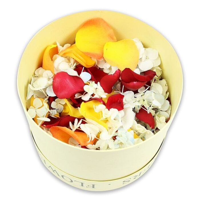 A minimalist, studio-style photograph presents a pale cream cylindrical flower box isolated against a crisp white background, filled right to the brim with a vibrant mixture of dried petals and tiny blossoms. The box itself feels quietly luxurious, its smooth surface and lightly embossed "FLOWERS" inscription suggesting a considered, boutique choice, much like something you might receive from a trusted Woodside florist for a thoughtful memorial. Inside the container, the petals are arranged in a dense, rounded mound, giving a sense of volume and abundance without any single element overwhelming the others. Deep crimson rose petals dominate, their velvety texture, gently curved shapes, and subtle shadows hinting at softness to the touch and a lingering rose scent. Threaded among them are generous splashes of bright yellow and mellow peach-orange petals, introducing warmth and the suggestion of shared stories and cherished memories. Interspersed throughout are clusters of tiny white florets, reminiscent of dried hydrangea blossoms, with occasional flecks of the palest blue; their light, lace-like structure contrasts delicately with the fuller rose petals, adding refinement and airiness. The overall palette moves from intensity at the centre to lighter tones at the edges, creating a soothing visual rhythm. Photographed from a slightly elevated angle, the composition keeps the attention firmly on the flowers, with the white backdrop reflecting soft, even light that makes each petal's detail visible. This carefully curated medley feels ideal for scattering at a graveside in Woodside, forming a gentle ring around an urn at a wake, or adorning a remembrance table, bringing a sense of natural grace, sustainability, and quiet celebration of life to a funeral tribute.