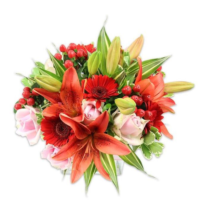 A densely packed, expertly arranged bouquet photographed on a clean white field, emphasising its warm, saturated palette and intricate layering. The dominant elements are several orange-red Asiatic lilies; a few are fully open with gracefully recurved, speckled petals and pronounced stamens, while others remain in tapered buds that suggest unfolding movement. Complementing these lilies are vivid red Gerbera daisies whose multiple slim petals radiate from darker central disks, bringing bold graphic points across the arrangement. Soft pale-pink roses provide a gentle counterpoint, their petals forming classic rose spirals from tight buds to fully relaxed blooms, and they lend an elegant softness against the more angular flowers. Sprays of glossy red hypericum berries are woven among the stems, offering small, rounded highlights and a tactile, almost jewel-like texture. The greenery is abundant and varied: broad, solid green leaves create a deep backdrop, slender lily foliage offers vertical lines, and a few variegated leaves with subtle cream streaks introduce lightness and visual depth. The silhouette is full and rounded, the overall balance achieved through considered placement so every bloom reads clearly even at a glance. Textures range from silky rose petals to the papery, slightly stiff surface of lilies and the waxy berries, all captured in flattering, diffuse light that hints at a gentle, sweet-spicy scent. Crafted with the sensibility of a neighbourhood florist, this bouquet is suited to anniversaries, celebratory occasions or to brighten a home near Woodside Green, South Norwood or the local market streets of Croydon.