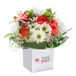 Bursting with life and fresh colour, this bouquet mirrors the uplifting spirit found along the leafy lanes of Woodside. Arranged upright in a snow-white square gift bag, it offers a radiant mix of coral, peach, and vivid red carnations, their ruffled petals exuding a gentle sweetness and vibrant charm. Sunlit daisies, each boasting a golden-green center, stand in happy contrast, reminiscent of the lighthearted blooms in Woodside gardens. Wispy clouds of white baby's breath float through the bouquet, lending a touch of innocence and airy elegance. At one edge, knotted buds with faint traces of purple nestle shyly, hinting at stories yet to blossom. Glossy, deep green foliage wraps the flowers in an embracing arc, anchoring the arrangement in lush texture and giving the eye a soothing place to rest. The sturdy, ribbon-handled white gift bag sits against an unblemished background, letting every fragrant detail and soft hue stand out vividly. Crafted with the care only a passionate Woodside florist can provide, this bouquet is ideal for deliveries marking a birthday, celebrating a new home, or simply offering joy to a loved one. Its genuine freshness and artful design honour both the tradition and delight of giving flowers in the heart of Woodside.